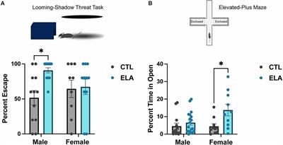 Sex-specific behavioral outcomes of early-life adversity and emerging microglia-dependent mechanisms